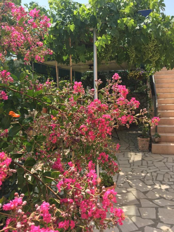Apartment Anica