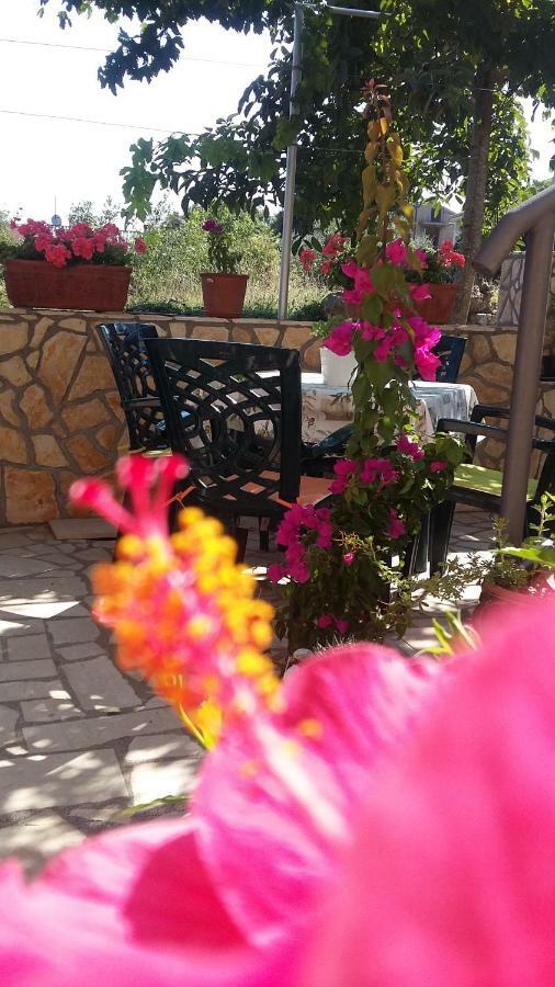 Apartment Anica