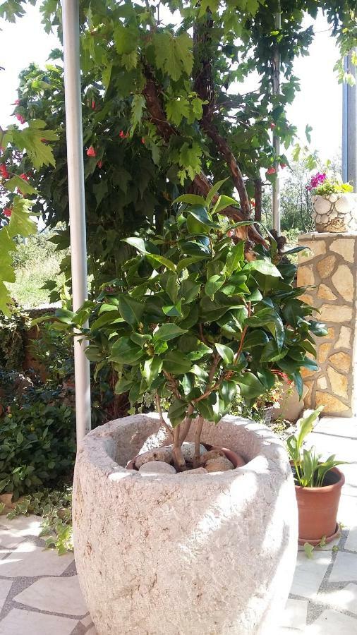 Apartament Anica *